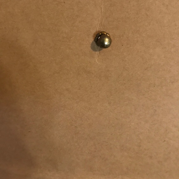 📁 Tan Alphabetical Accordion File Organizer - Picture 10 of 11